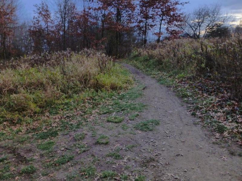 A natural pathway winding through a grassy area, bordered by tall grasses and a few trees with autumn leaves. The scene is set during early evening, with a cloudy sky overhead. Camrock 3 mountain bike trail.