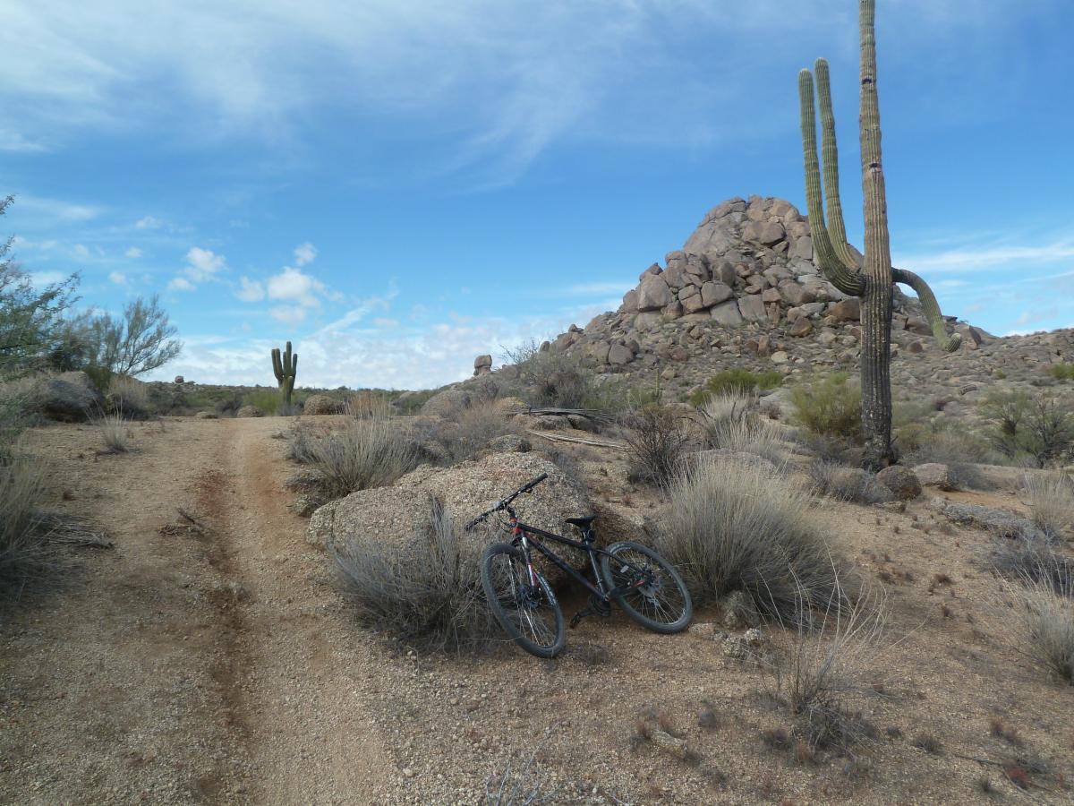 A mountain bike rests on a rocky trail in a desert landscape, surrounded by cacti and sparse vegetation. In the background, rocky outcrops rise against a blue sky with wispy clouds. The scene captures the rugged beauty of a natural outdoor biking path. McDowell Mountain Park mountain bike trail.