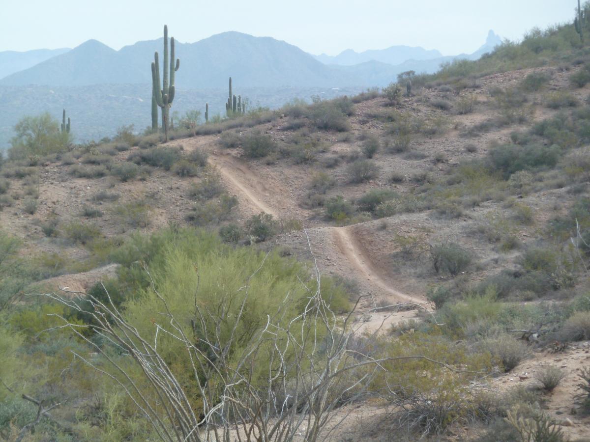 A winding dirt path leads through a desert landscape with scattered cacti and sparse vegetation, set against a backdrop of hazy mountains under a cloudy sky. McDowell Mountain Park mountain bike trail.