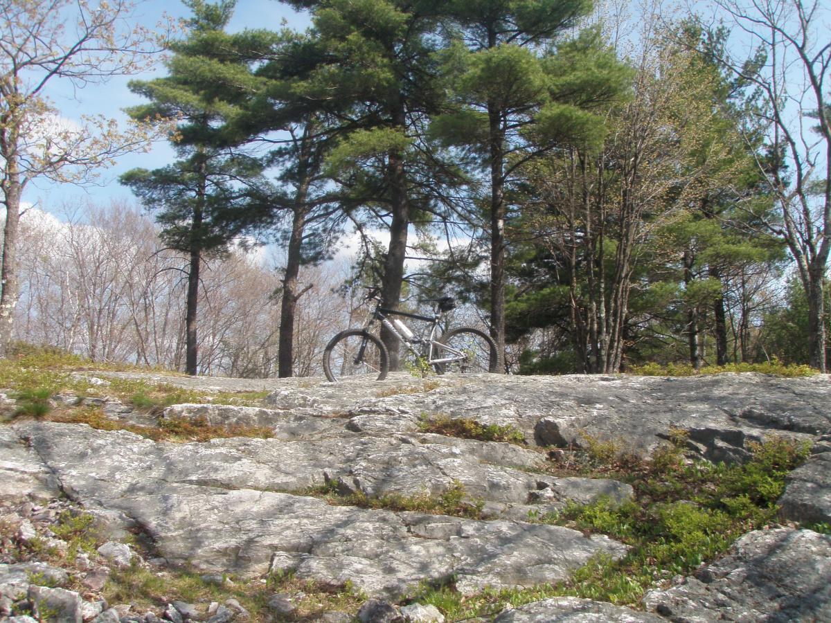 A silver mountain bike propped against a large rock, surrounded by green foliage and tall trees on a sunny day with partly cloudy skies. Bear Brook mountain bike trail.