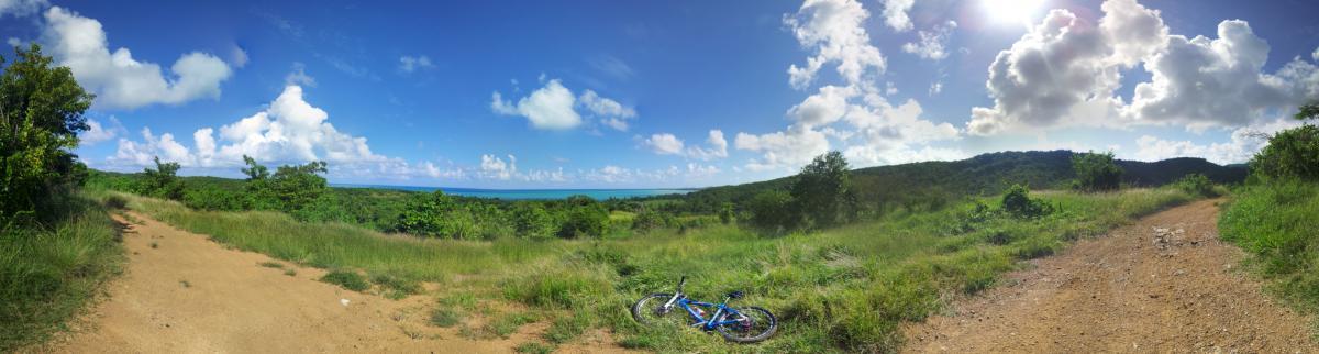 A panoramic view of a lush green landscape with a dirt path leading towards the ocean, under a bright blue sky filled with fluffy clouds. A blue bicycle rests on the ground near the path, surrounded by tall grass and tropical vegetation. Corredor Ecologico mountain bike trail.