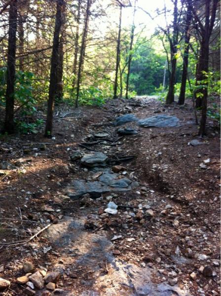 A rocky trail winding through a lush forest, with sunlight filtering through trees, highlighting the uneven ground and scattered stones along the path. Sac River Trail mountain bike trail.