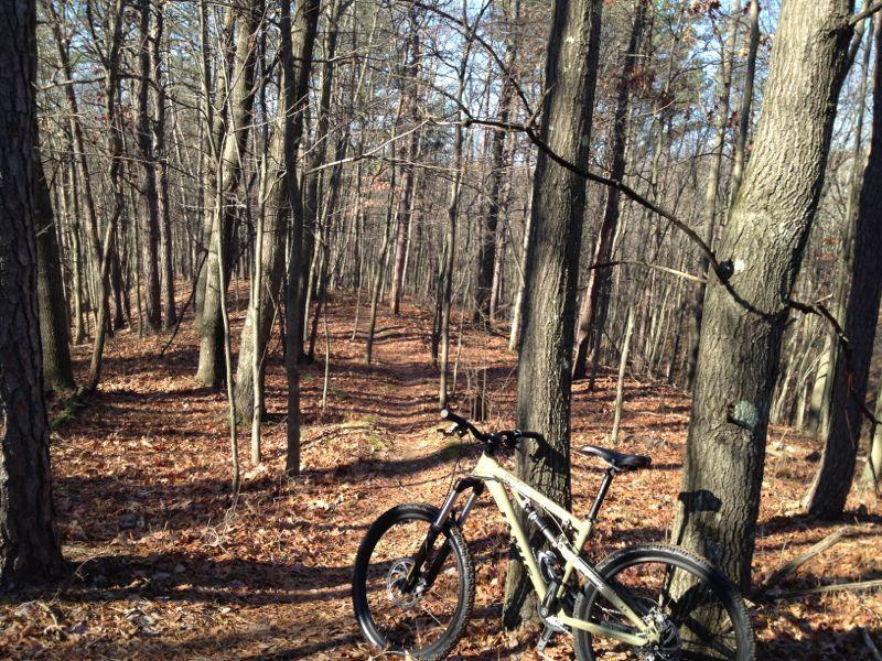 A mountain bike parked on a forest trail surrounded by bare trees and fallen leaves, showcasing a peaceful outdoor scene. Cemetery Loop mountain bike trail.