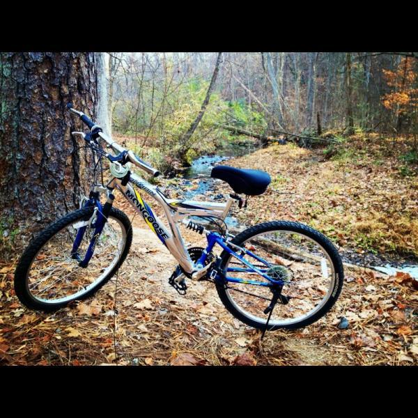 A mountain bike resting on a dirt path surrounded by trees in a forested area, with a small creek visible in the background. The bike features a blue and silver frame, black seat, and is positioned near a large tree trunk with fallen leaves scattered around. Blankets Creek mountain bike trail.