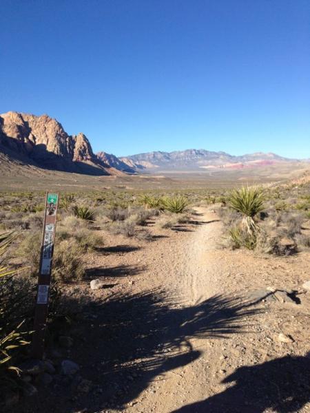A dirt trail leads through a desert landscape with sparse vegetation, flanked by rocky mountains in the background under a clear blue sky. A trail marker stands on the left side of the path, indicating the route. Blue Diamond mountain bike trail.