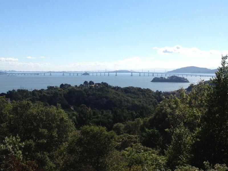 A scenic view of a bay with a prominent bridge spanning across the water, surrounded by lush green hills and distant mountains under a clear blue sky with a few clouds. China Camp mountain bike trail.