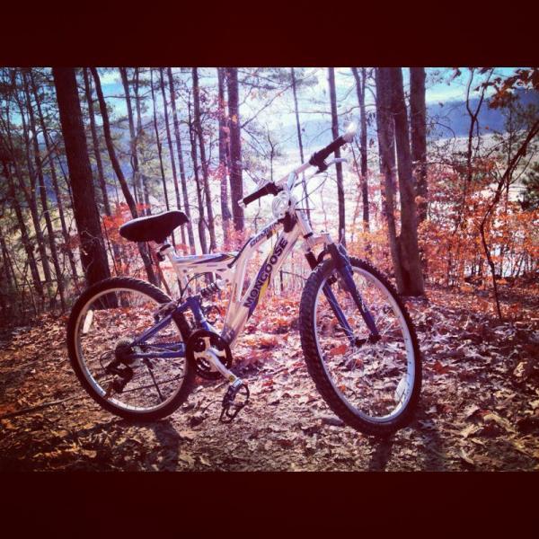 A white mountain bike with blue accents is parked on a forest trail covered in autumn leaves. The background features tall trees with hints of fall foliage, while a scenic view of a valley can be seen in the distance. The image captures a serene outdoor setting, perfect for biking. Dwelling Loop mountain bike trail.
