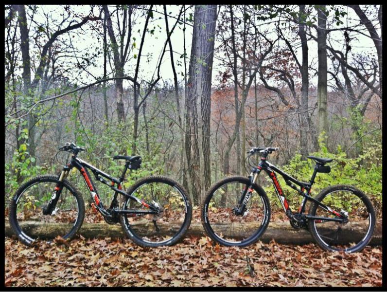 Two mountain bikes are positioned on a fallen log in a wooded area, surrounded by trees and autumn foliage. The background features a blurred vista of trees, indicating a natural setting suitable for biking. Kettle Moraine John Muir + Emma Carlin mountain bike trail.