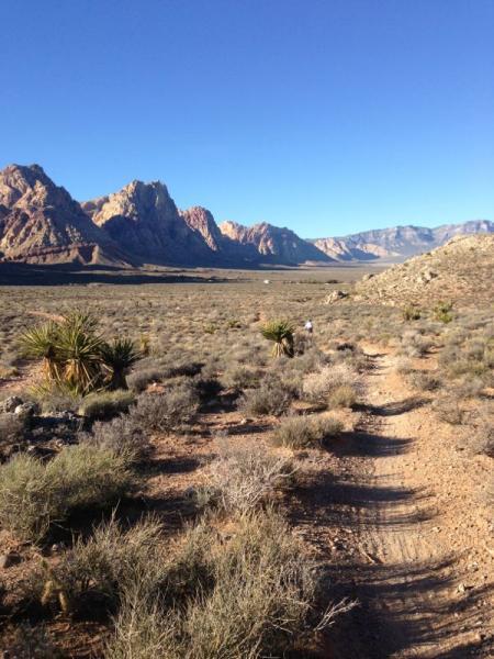 A dirt path winding through a desert landscape, surrounded by sparse vegetation and bushes. In the background, rugged mountains rise against a clear blue sky, with some distant peaks visible. The scene conveys a sense of vastness and tranquility in a natural setting. Blue Diamond mountain bike trail.