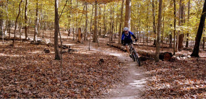 A mountain biker navigating a dirt trail through a forest during autumn, surrounded by trees with orange and yellow leaves and a carpet of fallen leaves on the ground. Lake Crabtree County Park mountain bike trail.