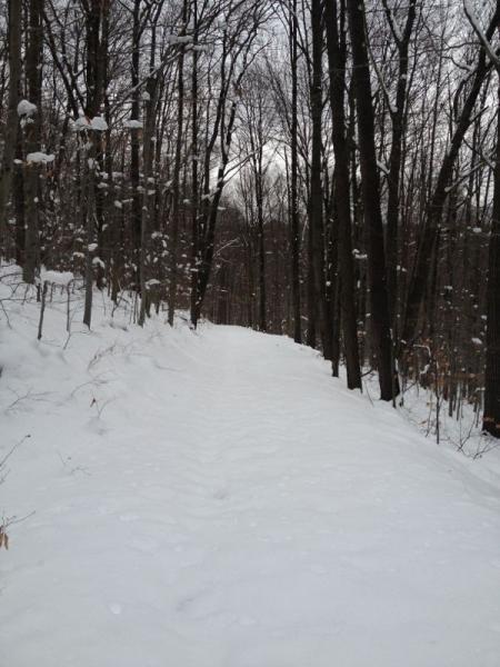 A snow-covered path winding through a forest of bare trees, with fresh snow blanketing the ground and lightly resting on branches overhead. The scene conveys a tranquil, wintry atmosphere. Allegany State Park mountain bike trail.