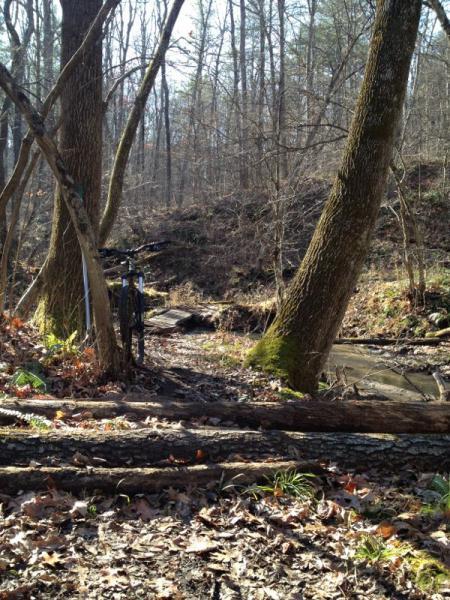A mountain bike leaning against a tree in a wooded area, with a shallow stream and fallen logs in the foreground. Surrounding trees are bare, indicating early spring or late autumn, and patches of green grass and leaves are visible on the ground. Cemetery Loop mountain bike trail.