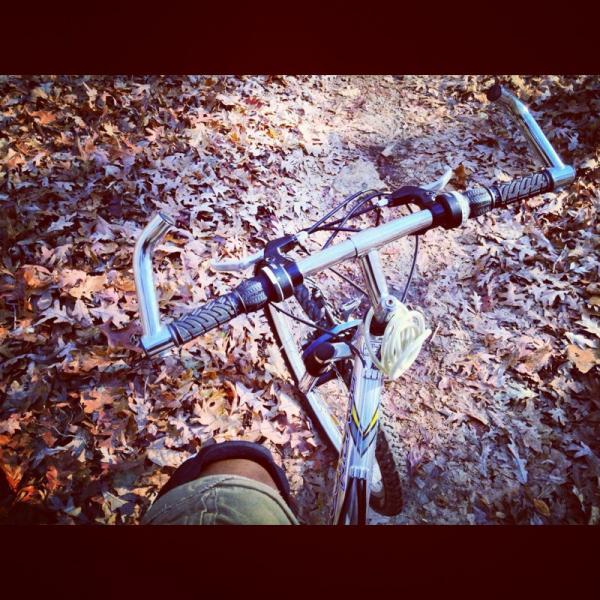 A close-up view of a bicycle's handlebars, with a person's knee visible in shorts. The bike is positioned on a trail covered in fallen leaves, suggesting an outdoor biking adventure in a wooded area. Dwelling Loop mountain bike trail.