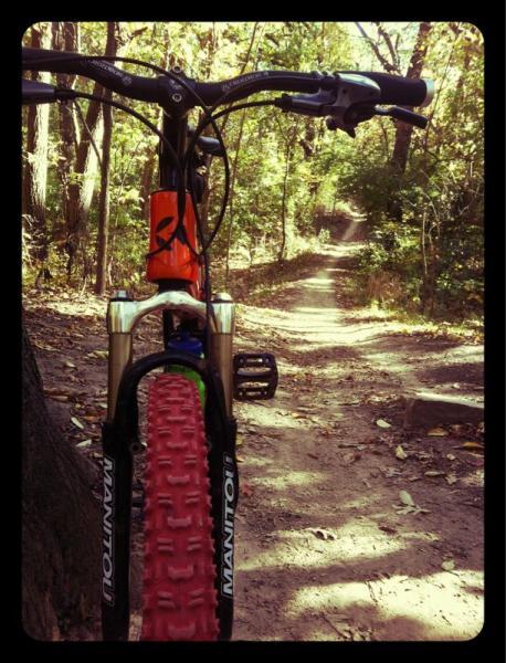 Mountain bike leaning against a tree, with a dirt trail winding through a green forest in the background. The bike features prominent pink tires and a colorful frame. Palos Forest Preserve mountain bike trail.