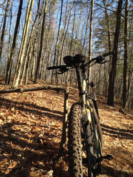 A mountain bike leaning against a fallen branch on a dirt trail surrounded by trees. The ground is covered with leaves, and the clear blue sky is visible through the tree canopy. Cemetery Loop mountain bike trail.