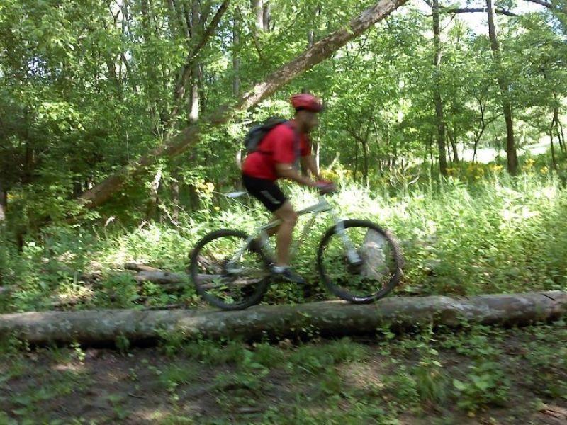 A cyclist in a red shirt and helmet rides a mountain bike over a log positioned on a dirt trail, surrounded by lush green vegetation and trees. Capital View mountain bike trail.