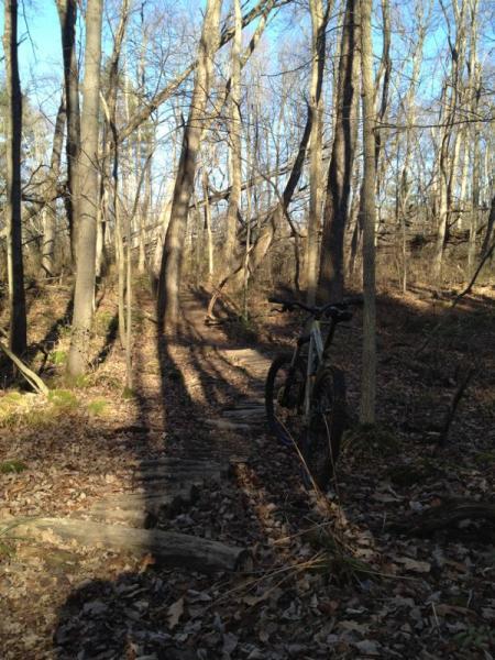 A mountain bike resting beside a wooded trail, surrounded by tall, bare trees and patches of sunlight. The ground is covered with fallen leaves, and the path is winding through the forest. Cemetery Loop mountain bike trail.