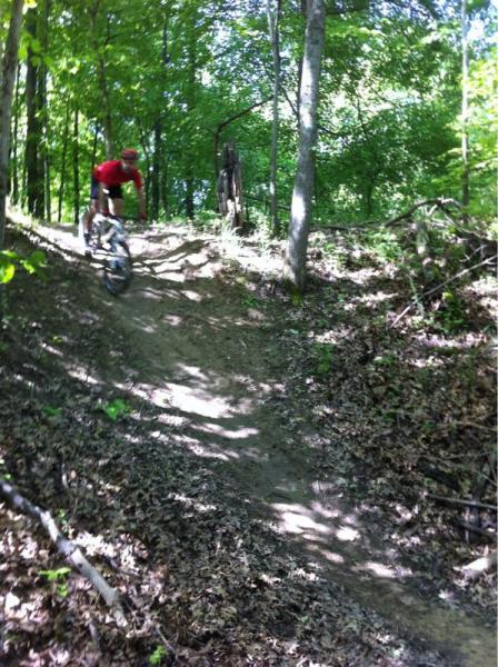A cyclist dressed in a red shirt navigates a winding dirt trail through a lush, green forest, with sunlight filtering through the trees. The trail is marked by fallen leaves and small dirt mounds, indicating an adventurous mountain biking environment. Capital View mountain bike trail.