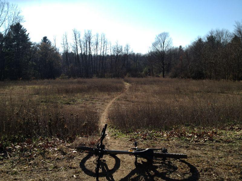 A mountain bike resting on the ground, with a clear view of a winding dirt path leading through a grassy field and surrounded by trees under a bright blue sky. Cemetery Loop mountain bike trail.