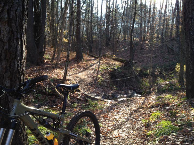 A mountain bike parked beside a wooded trail, surrounded by trees with autumn foliage. Sunlight filters through the branches, illuminating the path ahead, which leads over a small creek. Cemetery Loop mountain bike trail.