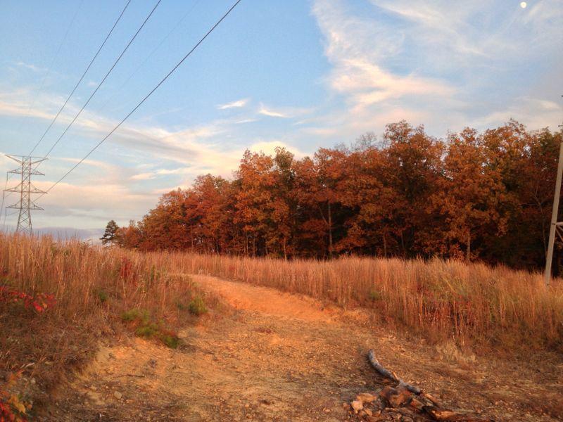 A scenic view of a dirt path leading through tall grasses and autumn foliage, with trees displaying orange and yellow leaves on the right side. Power lines stretch across a clear blue sky with wispy clouds, suggesting a tranquil natural landscape. Blevins Gap Preserve mountain bike trail.