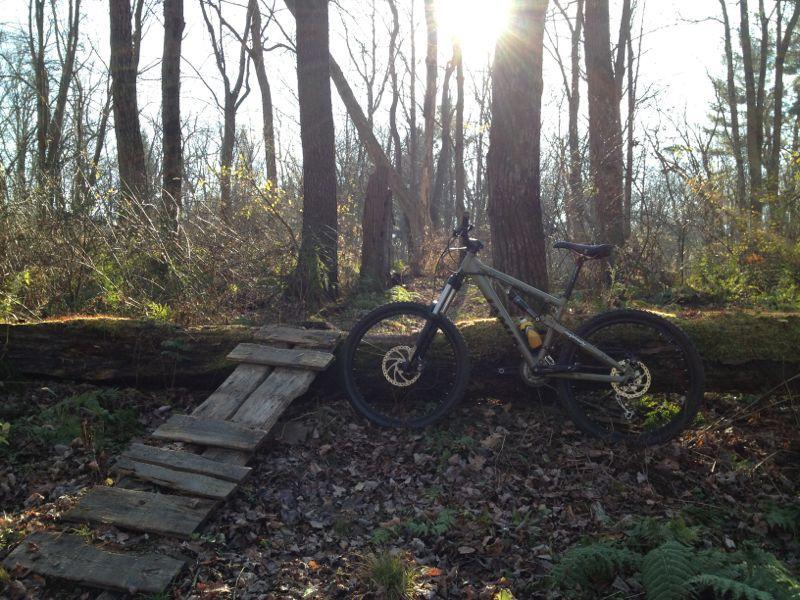 A mountain bike resting next to a wooden ramp on a sunlit forest trail, surrounded by tall trees and autumn foliage. Cemetery Loop mountain bike trail.