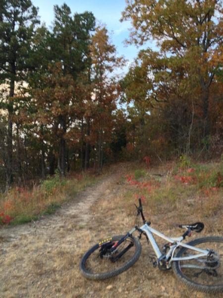 A mountain bike lies on the ground beside a dirt trail surrounded by trees with autumn foliage. The scene captures the essence of a quiet outdoor adventure in a wooded area, with leaves turning vibrant shades of orange and red. Blevins Gap Preserve mountain bike trail.