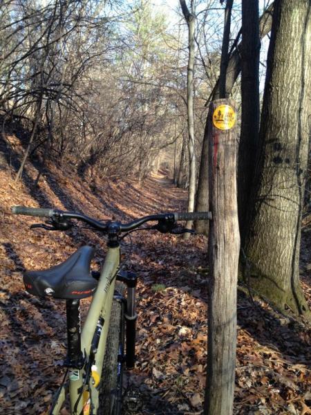 A mountain bike is parked in a forested area, with a narrow, leaf-covered trail visible in the background. A wooden post with a yellow trail marker stands nearby, surrounded by trees with sparse foliage. Cemetery Loop mountain bike trail.