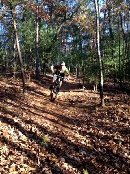 A mountain biker navigating a dirt trail through a wooded area, with trees and autumn leaves surrounding the path. The biker is wearing a helmet and is in an action pose, leaning slightly forward as they ride. Sunlight filters through the trees, casting shadows on the ground. Jake to Bull Mountain Connecter mountain bike trail.