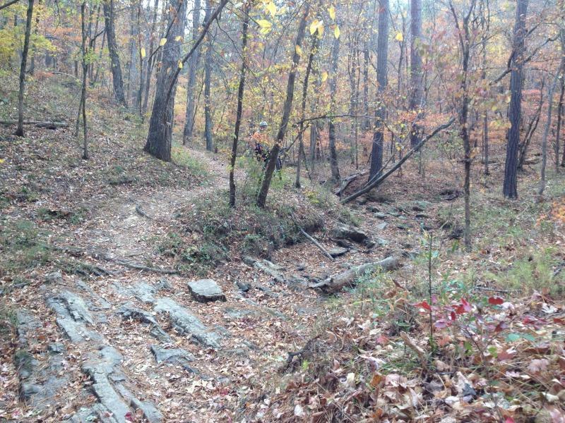 A winding dirt trail through a forest of autumn trees, showcasing a mix of fallen leaves and rocky terrain. The scene captures a peaceful, natural environment with varying shades of orange, yellow, and green foliage. Modoc (Stevens Creek Trail) mountain bike trail.