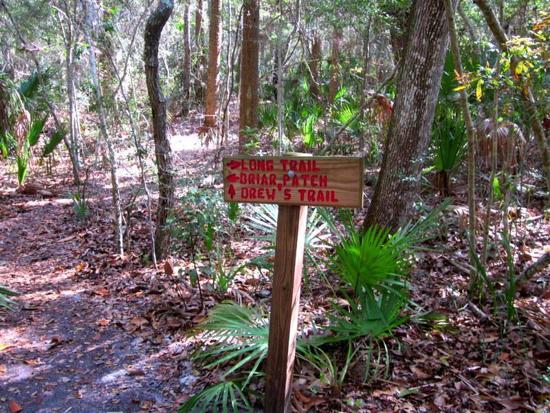 A wooden trail sign in a wooded area, pointing to three different paths: "Long Trail," "Briar Patch," and "Drew's Trail," surrounded by lush green vegetation and fallen leaves on the ground. Kathryn Abby Hanna Park mountain bike trail.