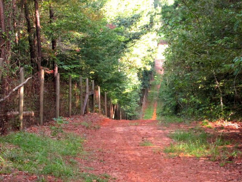 A dirt path lined with a wooden fence, surrounded by lush greenery and trees, leading into a sunlit area in the distance. Lincoln Parish Park mountain bike trail.