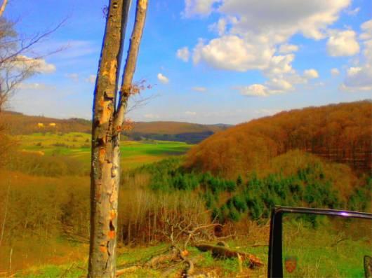 A scenic view of a hilly landscape featuring a mix of green and brown trees under a bright blue sky with fluffy white clouds. A single tall tree stands in the foreground, with distant hills and fields visible in the background. The image captures the tranquility of nature. Lakepoint Resort State Park mountain bike trail.