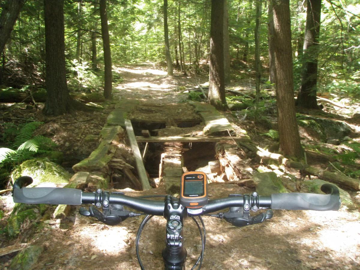 Ergon GC2: A close-up view of a mountain bike