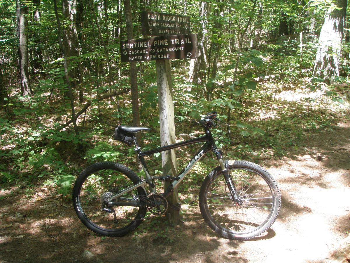 Giant Anthem 2: A mountain bike leaning against a wooden trail sign in a forested area, indicating directions to Camp Ridge Trail and Sentinel Pine Trail. The surroundings feature dense greenery and sunlight filtering through the trees, creating a serene outdoor atmosphere.