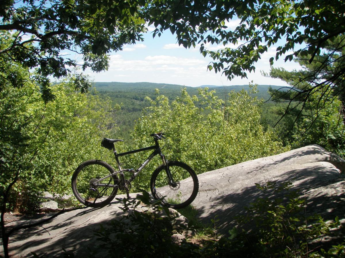 Giant Anthem 2: A mountain bike resting on a large rock, surrounded by lush green trees, with a scenic view of rolling hills and a clear blue sky in the background.
