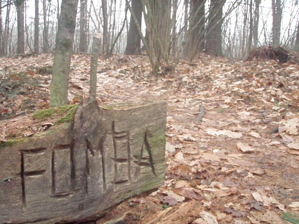 A carved wooden sign with the word "FOMBA" on it, positioned in a forested area. The background features a wooded path covered with fallen leaves, and the scene appears foggy and subdued, indicating a cool, misty day. Depot Road Singletracks/FOMBA mountain bike trail.