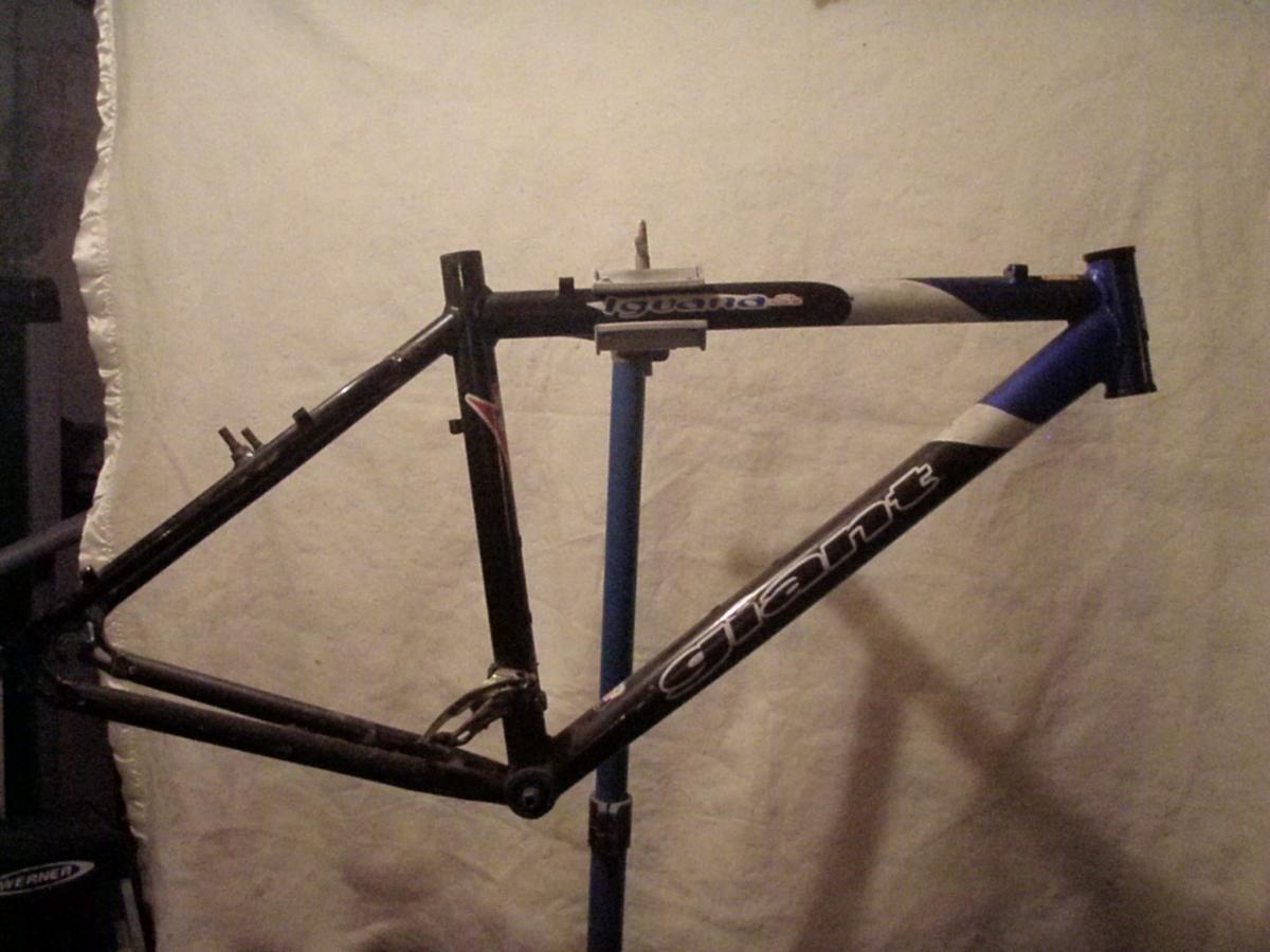 Giant Iguana: Image of a bicycle frame displayed on a blue stand against a light-colored backdrop. The frame features a combination of black and blue colors, with the brand name "Giant" prominently visible on the side. The frame is in a vertical position, highlighting its design and structure.