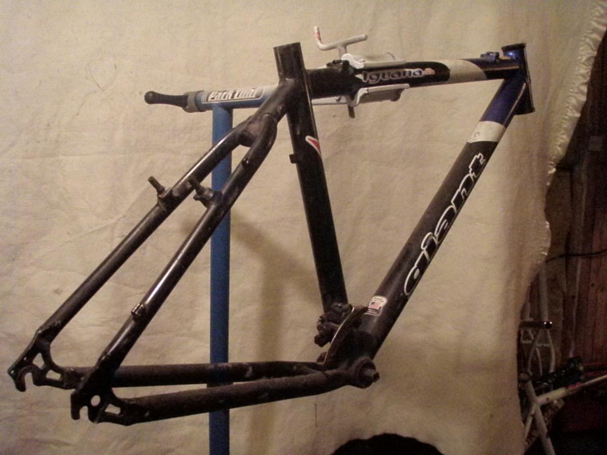 Giant Iguana: An image of a bicycle frame mounted on a repair stand, set against a light-colored background. The frame features a mix of black and blue colors and shows signs of wear, including scratches and scuffs. Various components, such as brake mounts and cable guides, are visible on the frame.