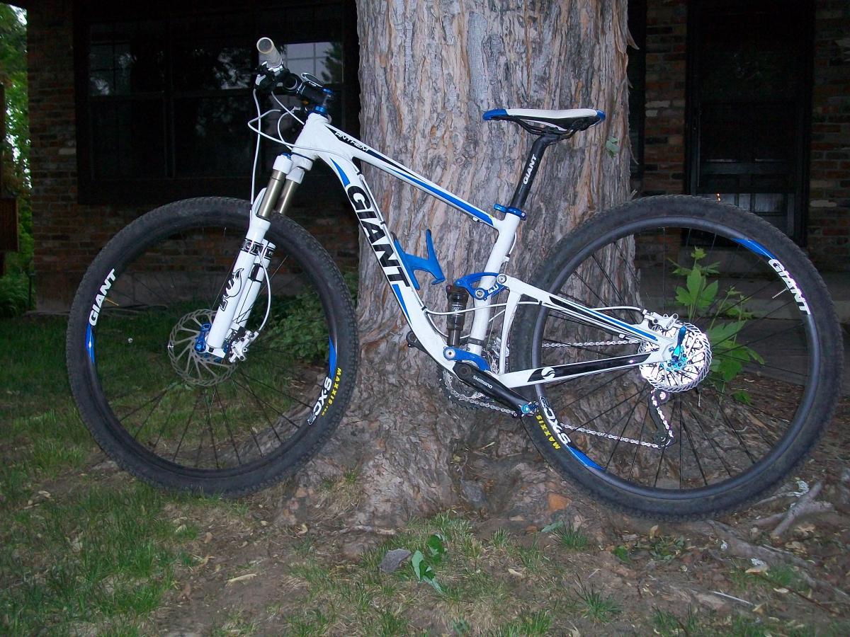 Giant Anthem X 29er 3: A white and blue mountain bike leaning against a large tree, featuring thick tires, a suspension fork, and visible gear components. The background includes a grassy area and a brick house with windows.