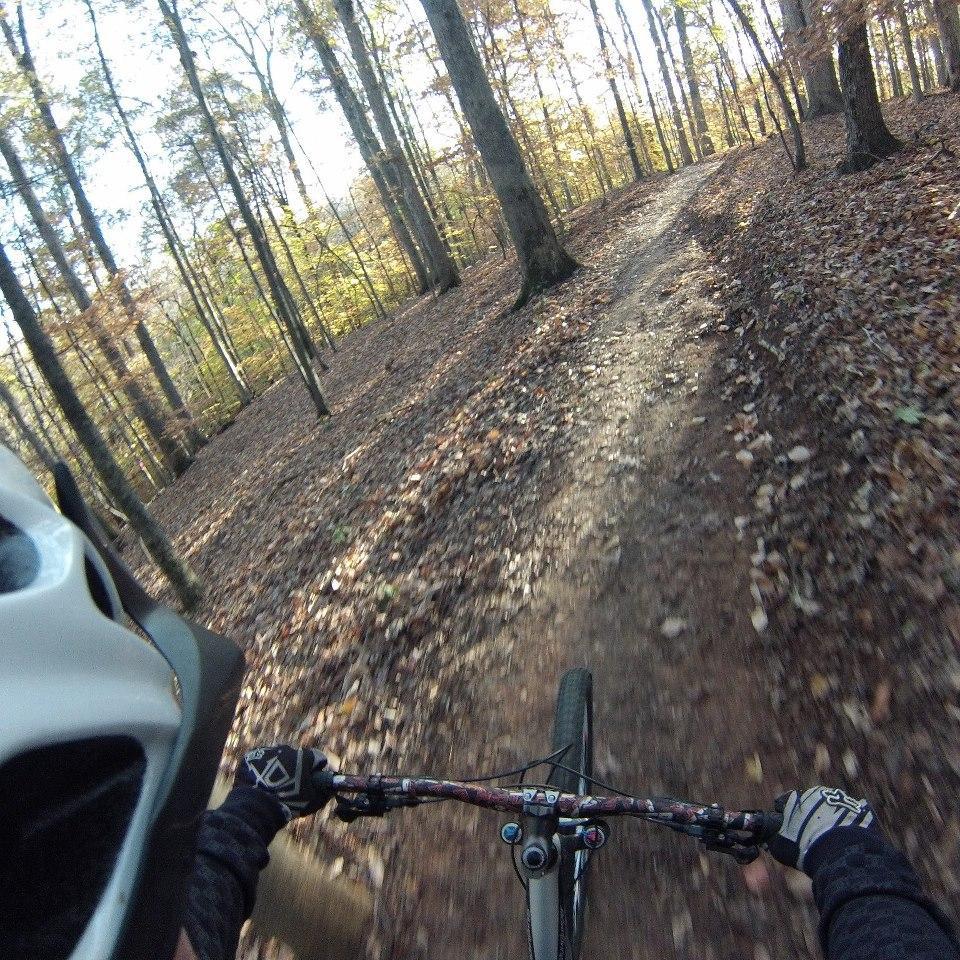 GoPro Helmet Front Mount: A point-of-view shot from a mountain bike riding through a wooded trail covered in autumn leaves, with a focus on the bike's handlebars and parts of the rider's helmet and gloved hands. Sunlight filters through the trees, illuminating the path ahead, which winds through the forest.