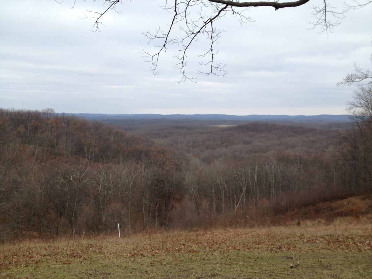 A panoramic view of a vast forested landscape under a cloudy sky, showcasing rolling hills and bare trees. The foreground features dry grass and shrubs, while the background presents a soft gradient of hills fading into the distance. Brown County Park mountain bike trail.