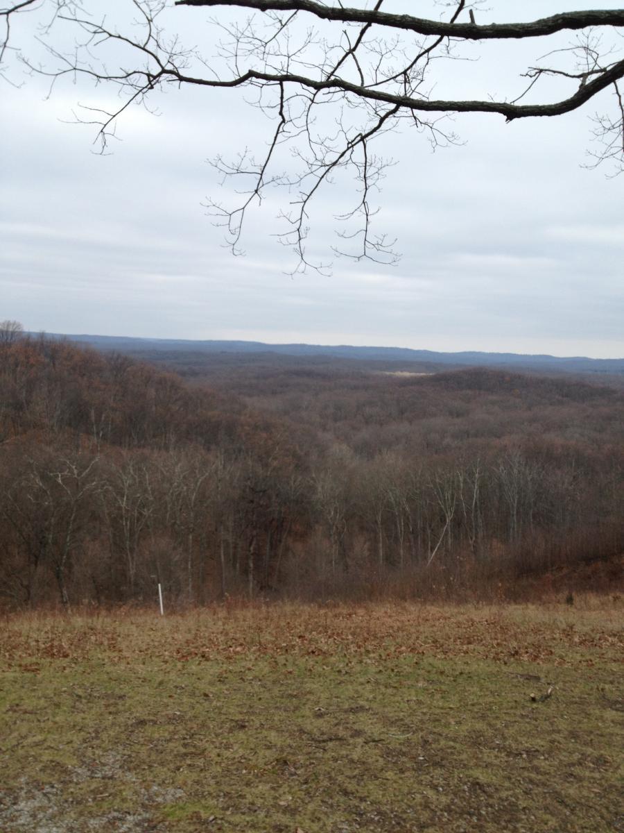 A panoramic view of a hilly landscape during overcast weather, with bare trees in the foreground and rolling hills in the distance, showcasing a muted color palette of browns and grays. A few branches extend into the image from the upper left. Brown County Park mountain bike trail.