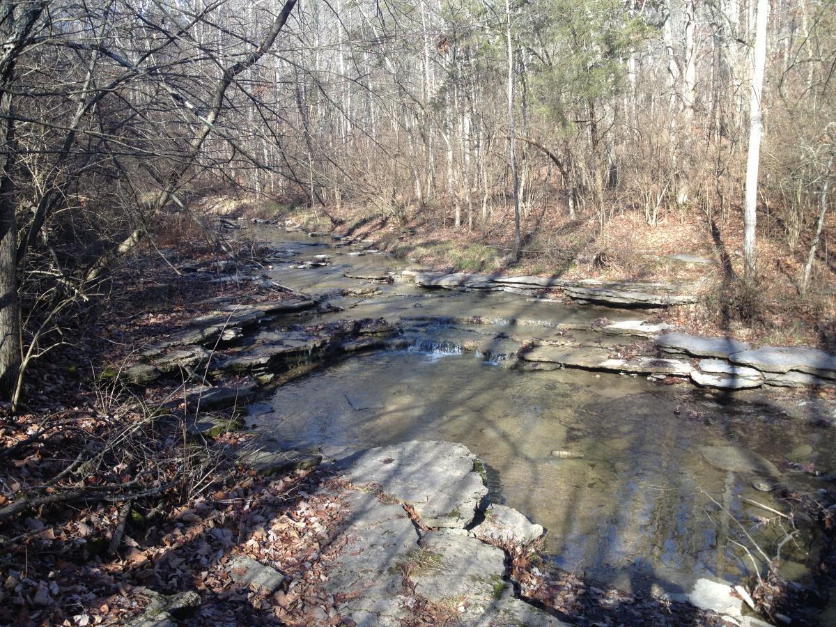A serene wooded area featuring a shallow stream flowing over rocky beds, surrounded by bare trees and leafless underbrush. The scene captures the calmness of nature, with sunlight filtering through the branches, casting shadows on the water and stones. Hueston Woods State Park mountain bike trail.