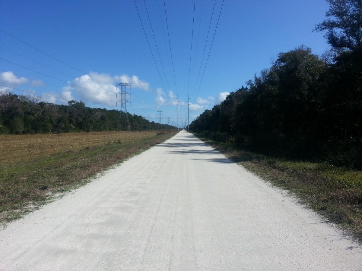 A long, unpaved dirt road stretches into the distance, flanked by tall trees on both sides. The sky above is bright blue with scattered clouds, and power lines run parallel to the road, adding a contrast to the natural scenery. The landscape shows a mix of grassy patches and cleared fields, suggesting a rural environment. Tosohatchee State Reserve mountain bike trail.