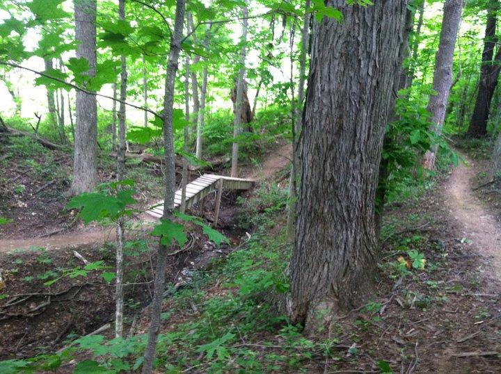 A forest path with a small wooden bridge crossing a shallow stream, surrounded by lush green trees and underbrush. Two trails diverge in the background, inviting exploration in a tranquil natural setting. Alum Creek Phase II mountain bike trail.