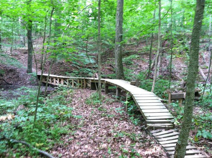 A wooden footbridge winding through a lush green forest, surrounded by tall trees and dotted with fallen leaves on the forest floor. Alum Creek Phase II mountain bike trail.