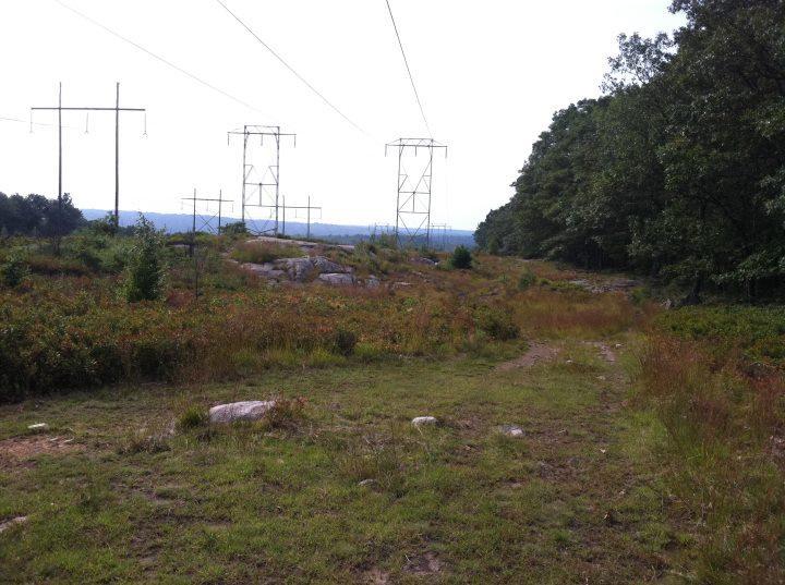 A wide, open landscape featuring a dirt path surrounded by tall grass and shrubs, with several power lines and towers in the background. On the right, there is a dense line of trees, and the scene is set under a clear sky. The area appears to be a natural setting with rocky outcrops and a distant horizon. Vietnam Trails mountain bike trail.