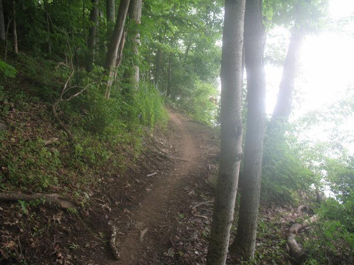 A winding dirt path through a lush green forest, flanked by trees on both sides, leading towards a bright area that suggests the edge of a lake or clearing. Lock 4 mountain bike trail.
