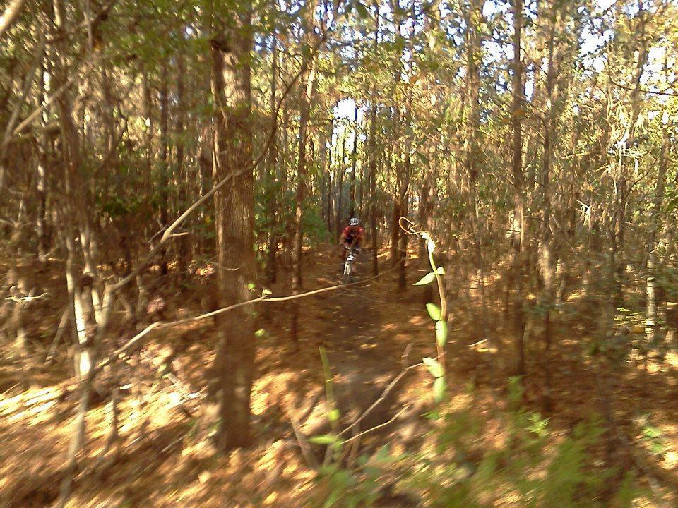 A person riding a mountain bike on a narrow trail through a dense forest, surrounded by tall trees and autumn foliage. Sunlight filters through the branches, creating a dappled light effect on the ground. Horry County Bike Run Park mountain bike trail.